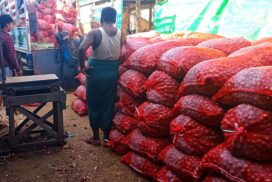 Onion prices stable despite low production in Minbu Township