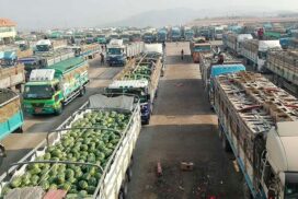 Market situation still unknown despite watermelon export to China