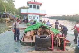 Illegal timber, vehicles, consumer goods seized across country
