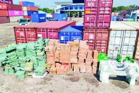 Authorities seize illegal timber, goods