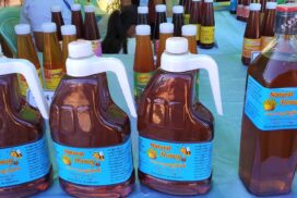 Myanmar ships about 4,000 tonnes of honey yearly