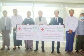 Nippon Foundation donates 2 mln Covaxin doses to Myanmar
