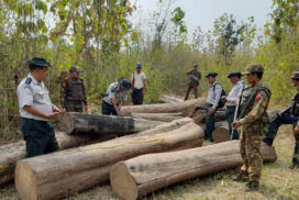 Illegal teak, utensils and electronics seized in states/regions