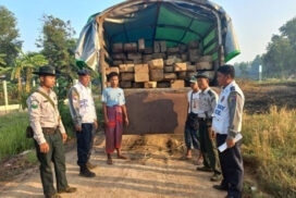 Forest Dept seizes illegal timbers across regions and states