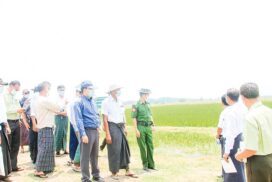Bago Region Chief Minister inspects agriculture, farming and production in Waw, DaikU