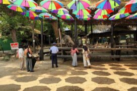 Palin Kanthaya elephant resort crowded with visitors during water festival