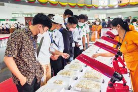 57th Myanma Gems Emporium continues its second day