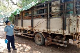 Illegal teak, foodstuff, fuel, cooking oil, vehicles seized this week