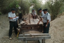 Illegal timbers, sawmill equipment, consumer goods, home appliances, vehicles seized