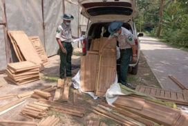 Illegal timbers, consumer goods, cosmetics and vehicles seized