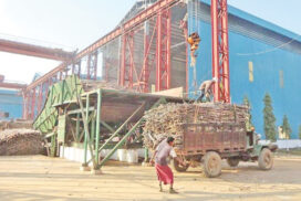 Sugar mills in Katha District produce over 63,000 tonnes of sugar