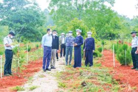 MoNREC Union Minister inspects forest plantations in southern Shan State, Mandalay Region