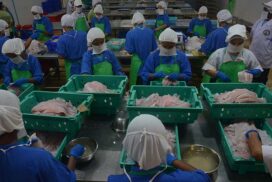 Mon State’s frozen fish export to China slows