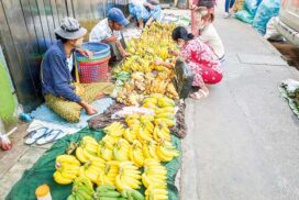 Organic bazaar in downtown Yangon makes happiness of consumers