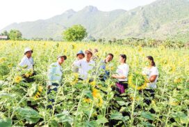 MoALI Union Minister inspects agriculture work of Mandalay Region