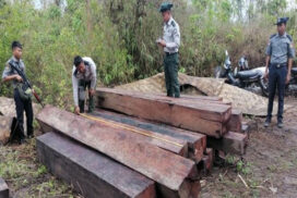 Illegal timbers, construction tools, diesel oil and vehicles seized