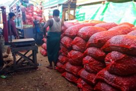 Minbu market sees onion bustling trade