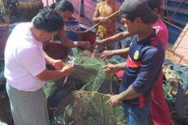 30% of fishing trawlers allowed to resume  one month earlier than close season