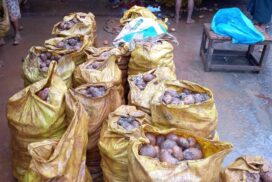 China-produced rotten potato sale on the rise