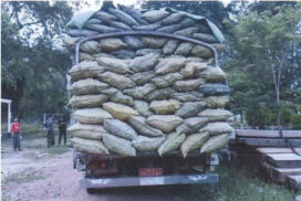 Illegal timbers, charcoal bags, vehicles seized in various townships
