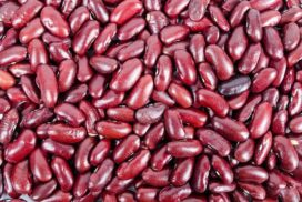 Chinese demand on kidney bean hikes price up by K10,000 per basket