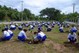 MoL monsoon tree-planting ceremony held in Nay Pyi Taw