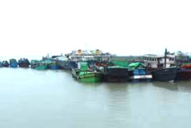 Over 1,000 tonnes of fishery products exported each month to Bangladesh