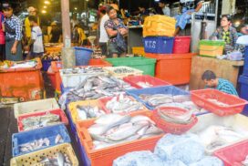 Shwe Padauk fish market sells about 300,000 visses of fishery products a day
