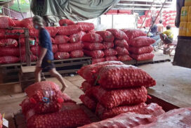 Onion price surges to K2,100 per viss in Yangon Market