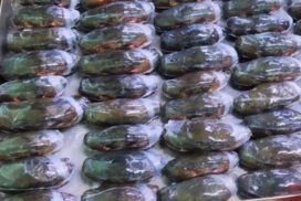 Soft-shell crab business becomes brisk in Ayeyawady Region