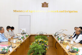 MoALI Union Minister, Indian Ambassador to Myanmar discuss cooperation in Agriculture