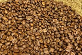 Green Gold co-operative ships over 40 tonnes of coffee beans to Belgium in third batch