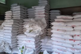 High-grade Pawsan rice from Shwebo rockets to K125,000 per bag