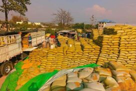 Two weeks left to utilize Thailand’s Form D benefits for corn exports