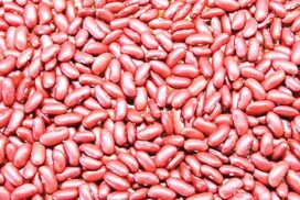 Kidney bean prices set for fourth consecutive weekly increase