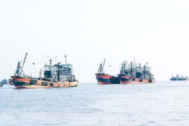 High operational costs, decreasing fish prices affect fishing boats offshore Taninthayi Region