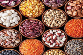 Myanmar pulses exports surge, garnering US$430 mln over four months