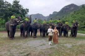 Wahnet Elephant Camp: Your serene retreat awaits