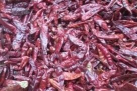 Around 4,000 visses of chilli peppers traded at low price