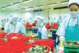 Collaborative initiatives aim to double fish and shrimp production