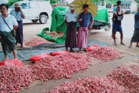 Surge in onion prices detected at Bayintnaung market