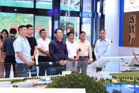 Union Information Minister visits solar cell manufacture base, steel factory in Yunnan