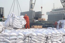 Myanmar imports over 35,000 tonnes of fertilizer worth $14.7 mln in Aug 3rd week