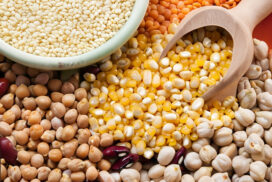 Myanmar exports 630,000 tonnes of beans, pulses in April-August