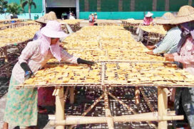 Japan targets annual influx of 200-tonne Myanmar’s dried bamboo shoots