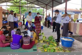 Smart Village Project: Elevating rural life across 45 villages