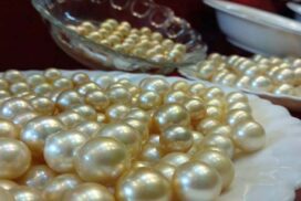 Myanmar’s South Sea pearls fetch high demand at auction in Chinese gems market