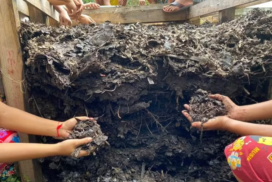 Rice husk charcoal to be distributed to farmers in Yangon