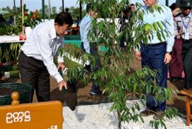 Tree growing aims to green urban and rural areas including Nay Pyi Taw Council Area