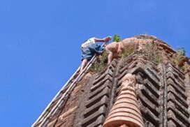 Use of chemicals planned to clear vegetation from Bagan Pagodas
